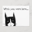 Recherche de absent cartes postales Chat