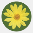 Suche nach abgeschieden aufkleber Natur