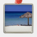 Recherche de paysage tropical ornements Île