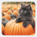 Suche nach kätzchen aufkleber Katzenartig
