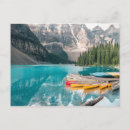 Recherche de canaries cartes postales Nature