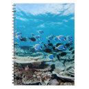 Suche nach fische kleine notizbücher Unterwasser