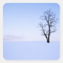 Suche nach akazie aufkleber Baum