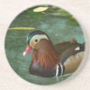 Suche nach enten untersetzer Tier