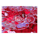 Suche nach wasser pflanze poster Blume