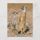 Recherche de kara cartes postales Jour
