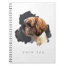 Suche nach tzu Bester freund