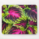 Suche nach botaniker mousepads Botanisch