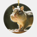 Suche nach wild lebende tiere ornamente Hinterhof