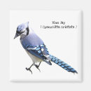 Recherche de geai bleu Faune