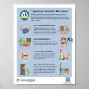 Suche nach verhalten poster Ausbildung