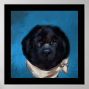 Suche nach hundefutter poster Hundefutter für neufundländer