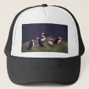 Recherche de atlantique casquettes Macareux de l'atlantique