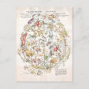 Recherche de zodiaque antique cartes postales Vintage