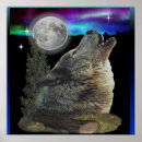 Suche nach wolf und mond poster Tiere