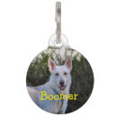 Recherche de canin photographie Blanc