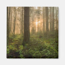 Suche nach tannenbäume magnete Wald