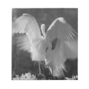 Recherche de floride blocsnotes Blanc