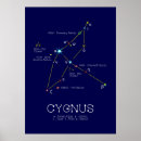 Suche nach hemisphären poster Wissenschaft