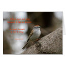 Recherche de proverbes chinois cartes postales Oiseau