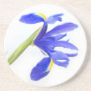 Recherche de iris dessous de verres Jaune