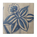 Recherche de jonquille carreaux Botanique