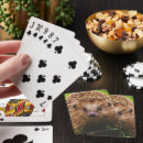 Suche nach igel spielkarten Natur