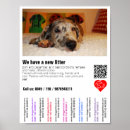 Suche nach doggen kunst Deutsche dogge