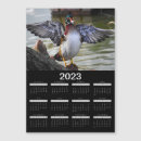 Suche nach holzenten Tierwelt