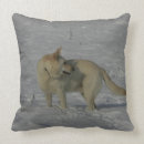 Recherche de berger blanc coussins Alsacien