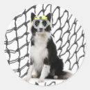 Suche nach collie aufkleber Grenze
