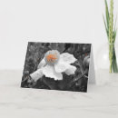 Suche nach manipulation karten Blume