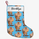 Suche nach eichhörnchen weihnachts strümpfe Nagetier