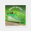 Recherche de geckos serviettes Animal