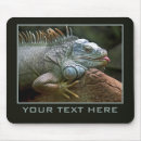Suche nach geckos mousepads Reptil