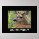 Recherche de cerf posters Nature