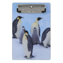 Suche nach pinguin klemmbrett Schnee