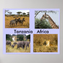 Suche nach von afrika poster Afrikanische tiere