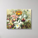 Recherche de orchidée art Jardin