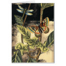 Suche nach naturlandschaft postkarten Tiere