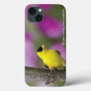 Recherche de énonciations coques Oiseaux et fleurs