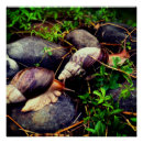 Suche nach taiwan poster Foto