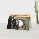 Recherche de vous vieille chèvre vœux cartes Vieux