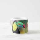 Recherche de exotique tasses Toucan