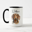 Recherche de chiot teckel tasses Amoureux des chiens