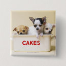 Recherche de chiot de chiwawa badges Mignon