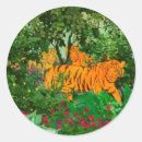 Recherche de roi de tigre Jungle