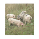 Suche nach das schwein notizblock Rosa