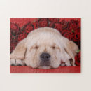 Recherche de chiot labrador puzzles Dog