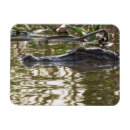 Recherche de cacher magnete Photographie